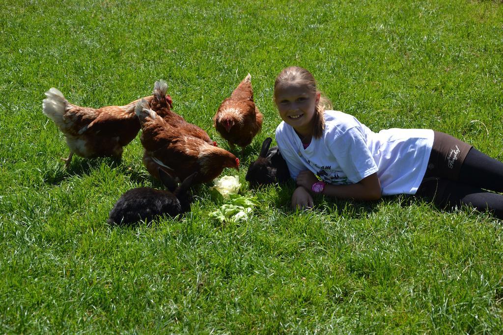 Feriendorf Ponyhof Fusch an der Grossglocknerstrasse Εξωτερικό φωτογραφία