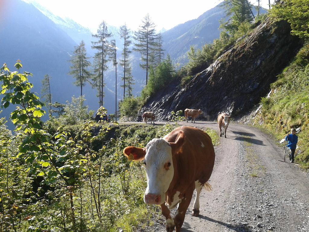 Feriendorf Ponyhof Fusch an der Grossglocknerstrasse Εξωτερικό φωτογραφία