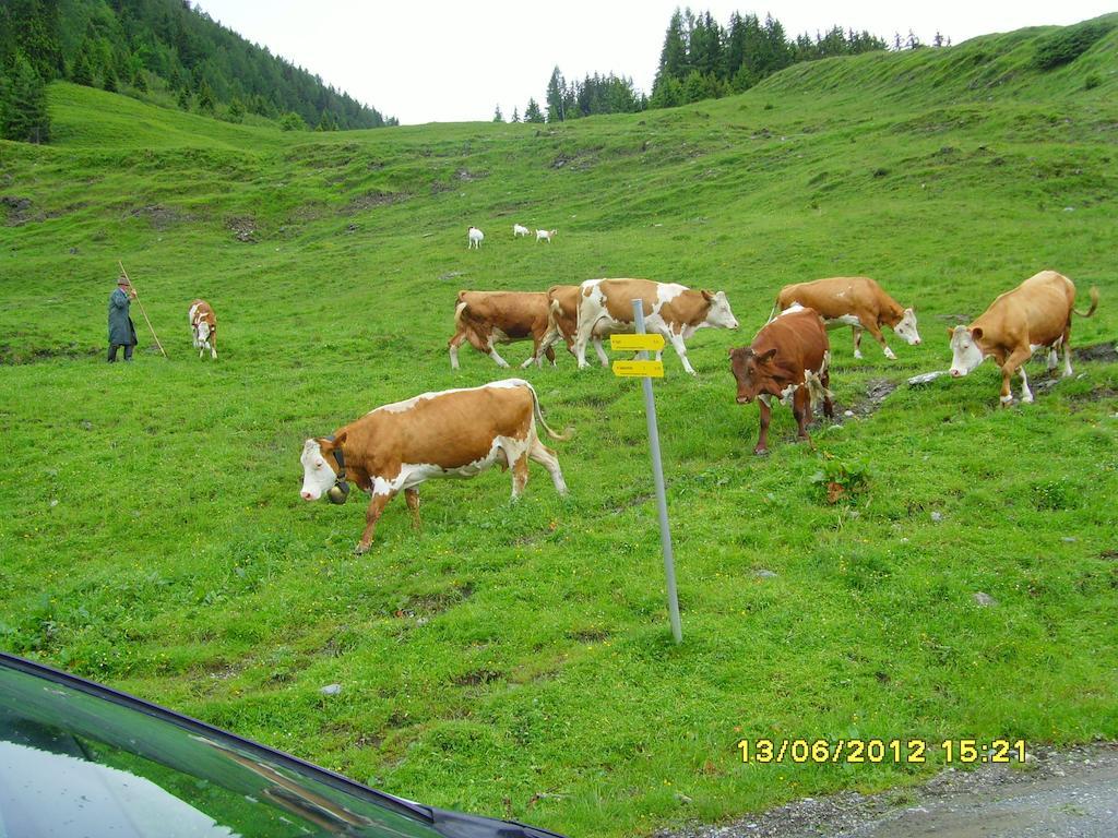 Feriendorf Ponyhof Fusch an der Grossglocknerstrasse Εξωτερικό φωτογραφία